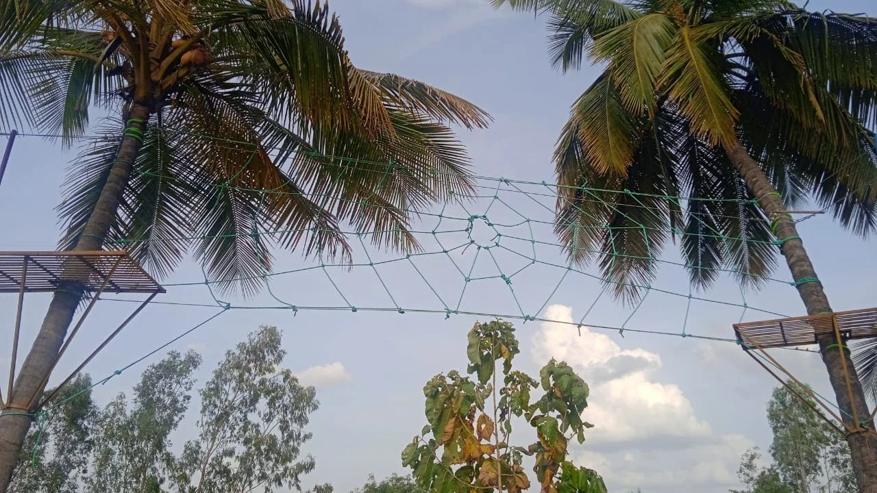 Action-Packed Resort Adventure Experiences